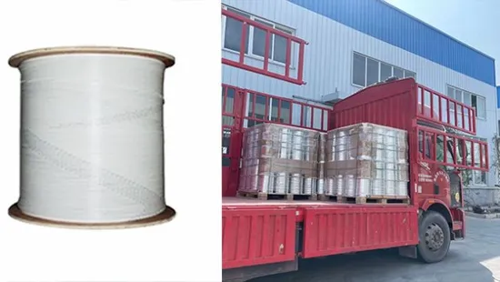 FTTH Sc to Sc Single Mode Fiber Optical Drop Wire Cable White Cable