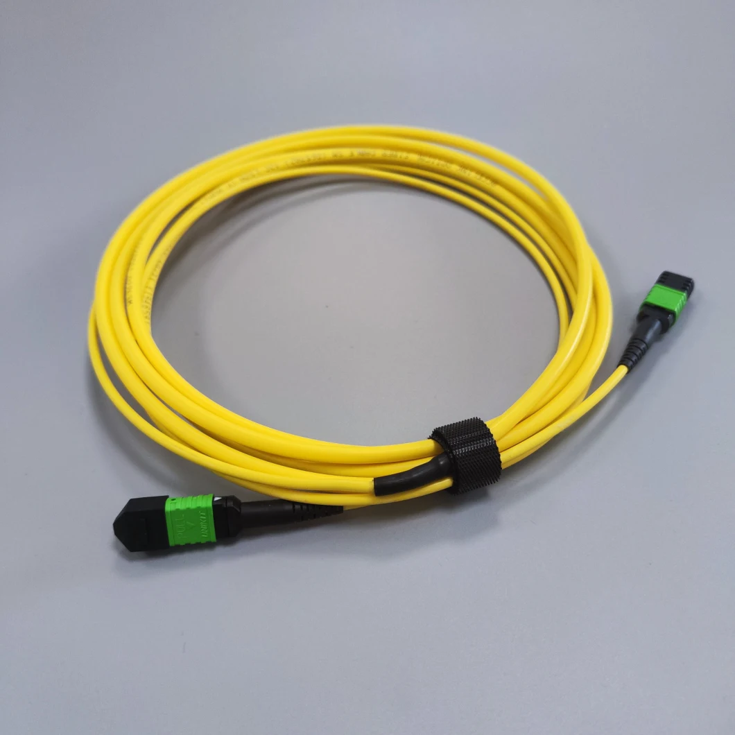 Customized Length Fiber Optic Patch Cord Data Center Solutions Series MPO/MTP