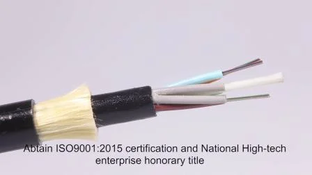 Outdoor Aerial 24/36/48 Core Single Mode Large Span Dielectric Self-Supporting Network ADSS Fiber Optic/Optical Communication Cable