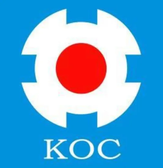 LC Singlemode Mini with Black Box Fiber Optic Loopback